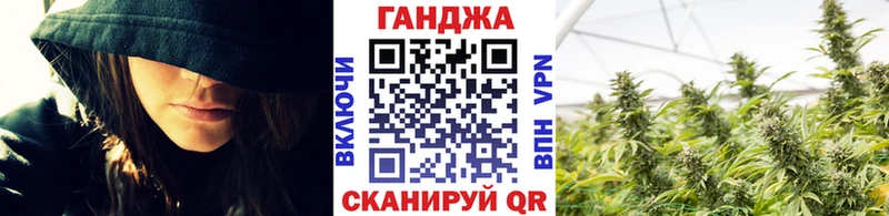 KRAKEN зеркало  Славск  Канабис сатива 